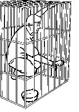 Ilustracija mučenja: zaključan u metalnom kavezu