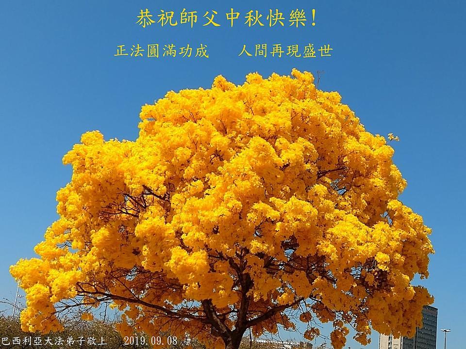 Falun Dafa praktikanti iz Indonezije: „Prešli smo dug put u praksi kultivacije. Jako smo zahvalni i od sad ćemo raditi još bolje slijedeći principe Istinitosti-Dobrodušnosti-Tolerancije." 
