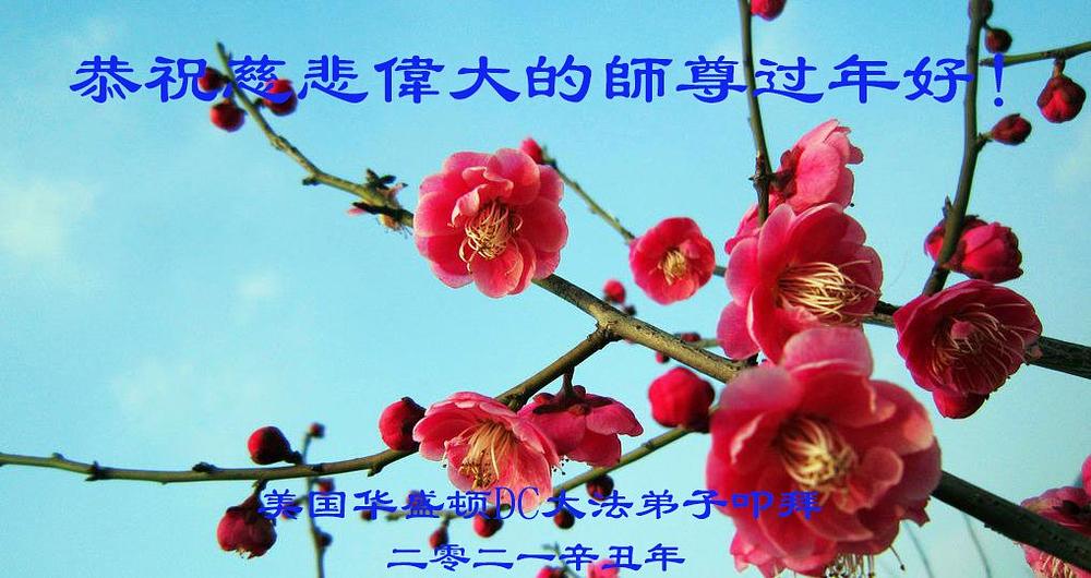  Tročlana obitelj praktikanata iz Washingtona šalju Učitelju iskrene čestitke povodom Kineske Nove godine