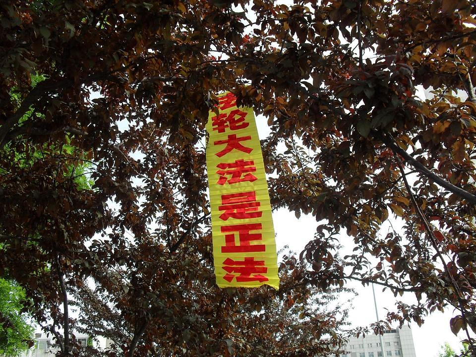 Na transparentu stoji "Falun Dafa je ispravan Fa"