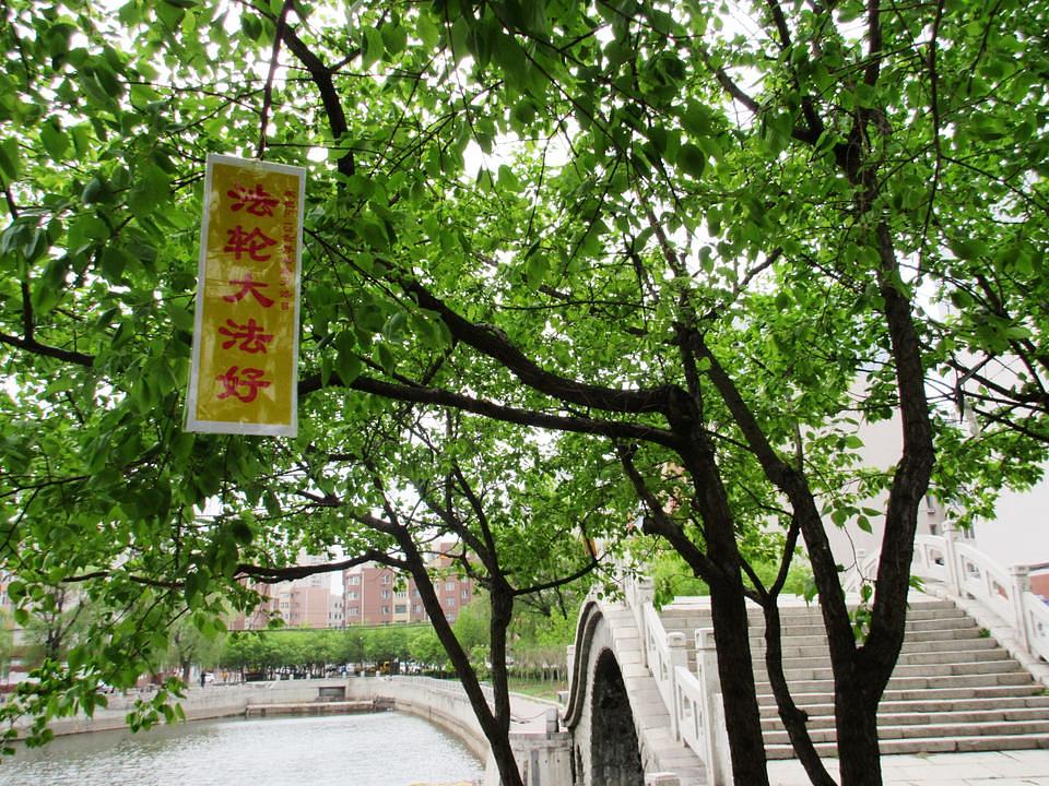 Na transparentu stoji "Falun Dafa je dobar"