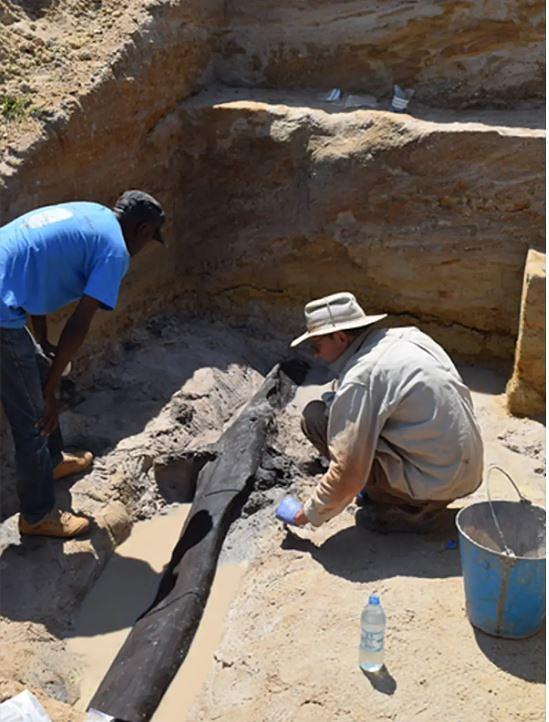  Arheolozi su u blizini vodopada Kalambo pronašli drvenu strukturu staru 476.000 godina.
