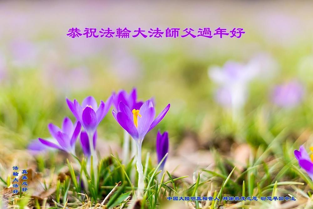  Čestitke iz Kine koje šalje osoba koja podržava Falun Dafa
