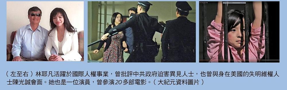 Lin često sudjeluje u aktivnostima na temu ljudskih prava, srela sa s kineskim disidentom Chen Guangchenom. Kao glumica je imala uloge u više od 20 filmova, a neki od njih obrađuju progonu Falun Gonga u Kini (srednja i desna slika). 