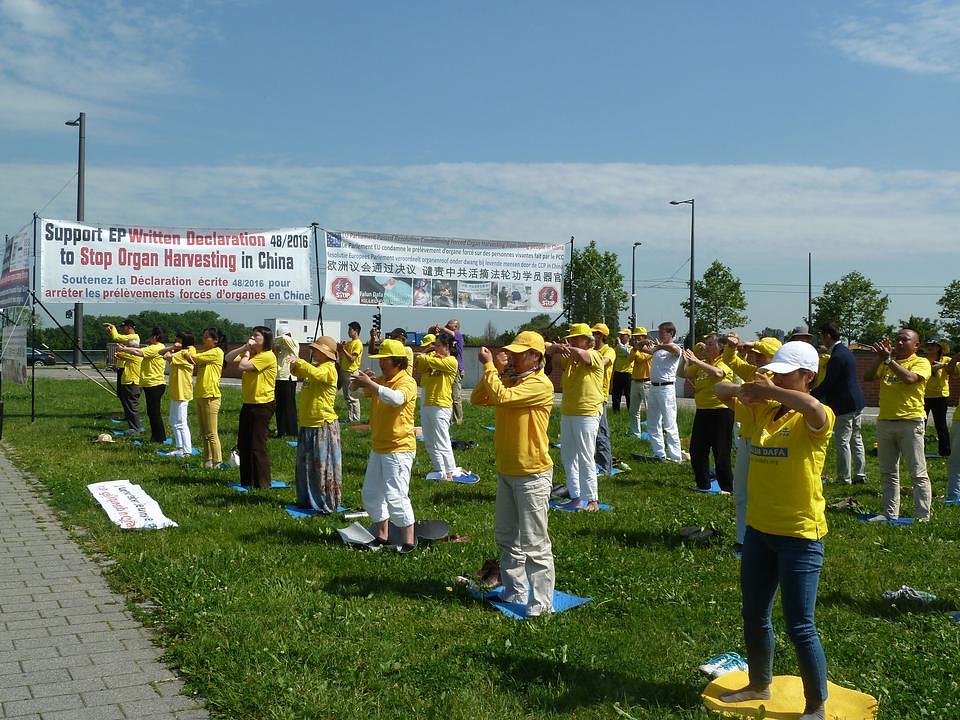 Praktikanti Falun Gonga su održali grupno vježbanje ispred Evropskog parlamenta u Strazburu, Francuska, 7. juna 2016. godine, kako bi podigli nivo svijesti o progonu u Kini te kako bi podržali moguću rezoluciju koja bi zahtijevala istragu prisilne žetve organa uzimanih od zatvorenika savjesti. 