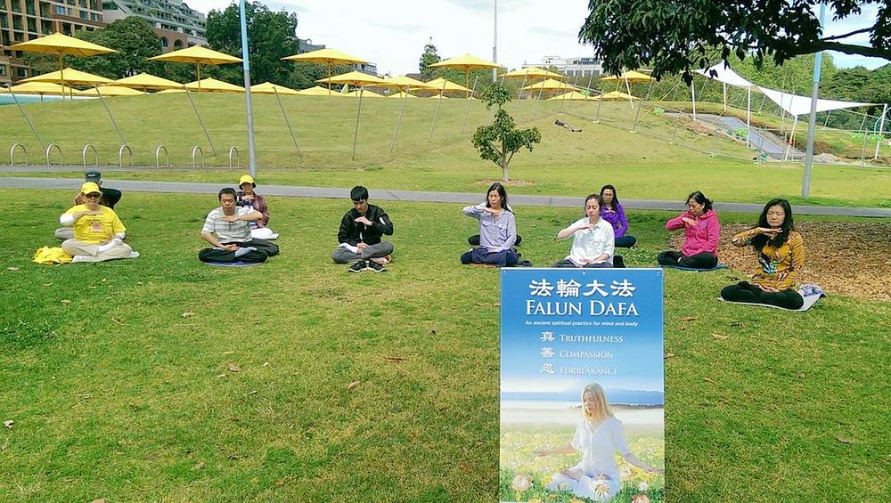 Sjedeća Falun Gong meditacija. 