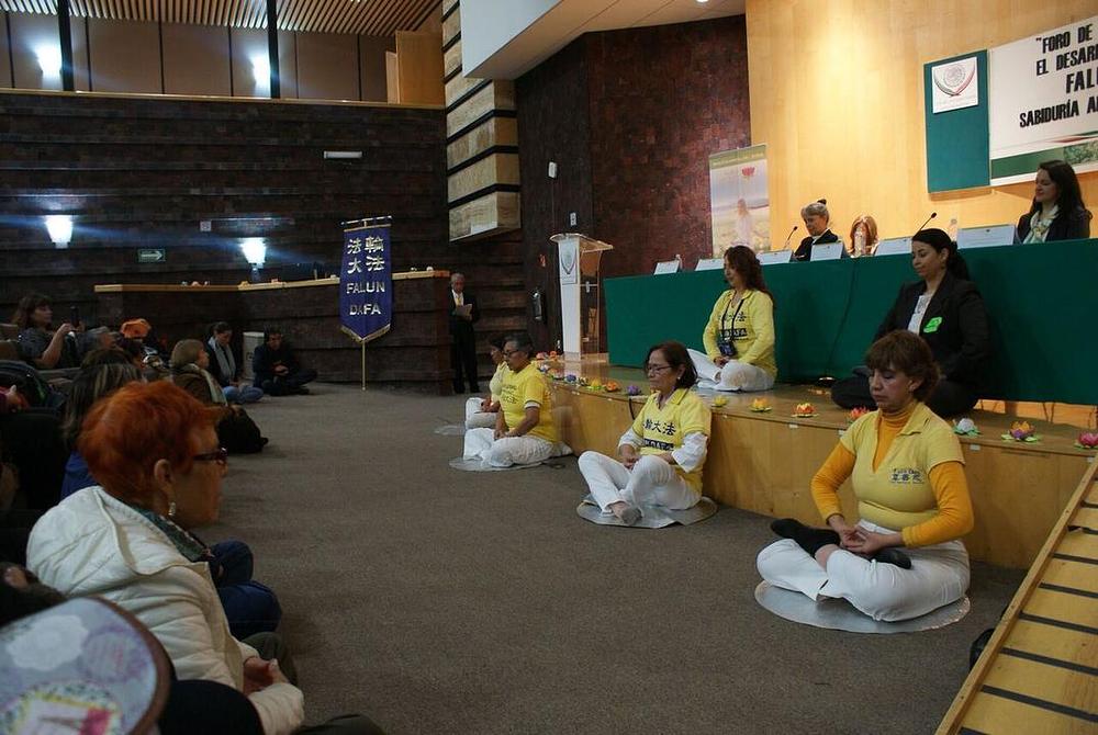 Falun Gong praktikanti demonstriraju izvođenje vježbi u Zastupničkom domu.