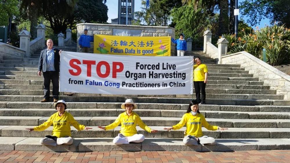 Praktikanti demonstriraju izvođenje Falun Gong vježbi u Nelsonu za vrijeme automobilske turneje poduzete u cilju podizanja javne svijesti o postojanju žetve organa od zatvorenika savjesti u Kini. 