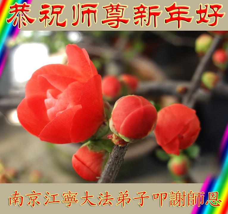 Praktikant iz grada Nanjinga u provinciji Jiangsu želi Učitelju sretnu Novu godinu. On kaže: „Popustio sam u svojoj kultivaciji protraćio puno vremena. U novoj godini ću vrijedno stremiti naprijed i popraviti svoje greške.“