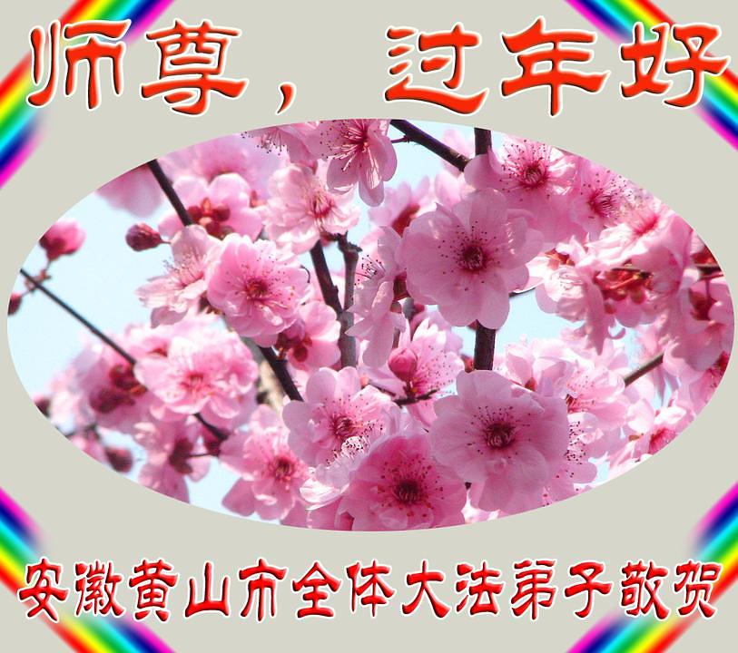 Praktikanti iz grada Huangshana u provinciji Anhui žele Učitelju sretnu Novu godinu. Oni kažu: „Brinućemo se za sve sunarodnjake i pomagati svakom kolegi praktikantu.“