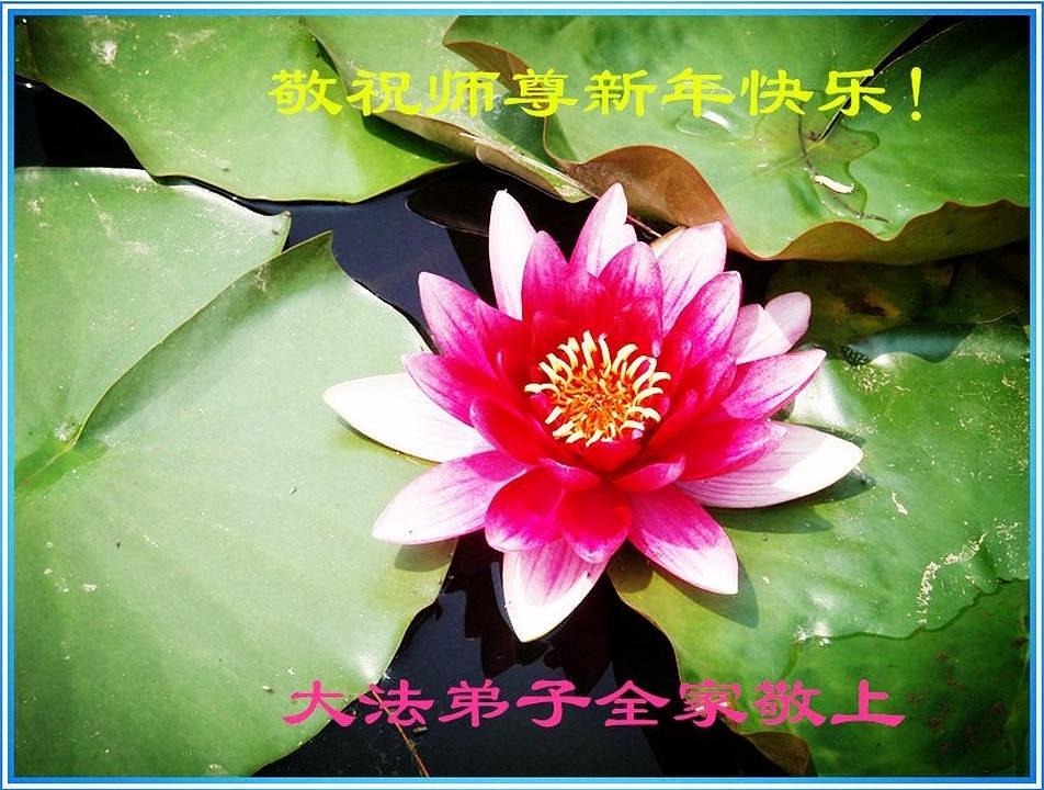 Natpis na kineskom jeziku: „Zahvalni smo što nas je Falun Dafa spasio.“