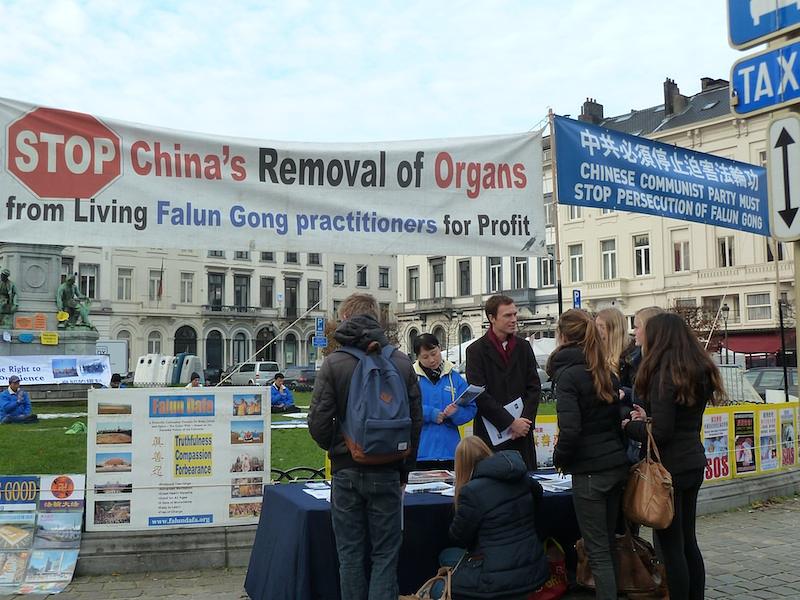 Europski praktikanti Falun Gonga su održali dvotjednu kampanju od kraja studenog do 5. Prosinca, prikupljajući potpise ispred zgrade Europskog parlamenta kako bi ih potaknuli da pomognu pri zaustavljanju žetve organa od živih praktikanata. 