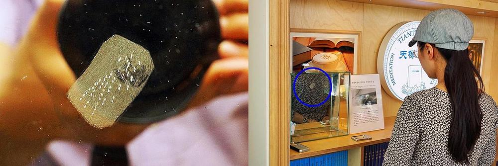 Udumbara cvjetovi izloženi u knjižari