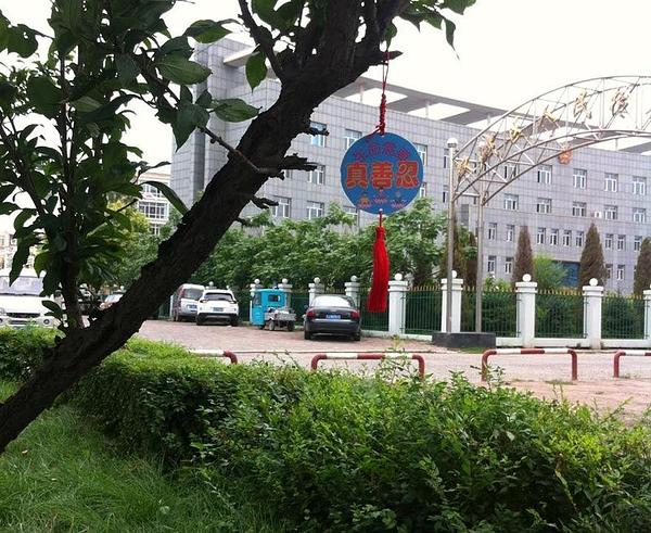 „Svijet treba "Istinitost-Dobrodušnost-Toleranciju", što se odnosi na glavne principe Falun Gonga