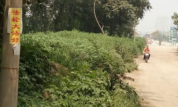 „Falun Dafa je veličanstven"