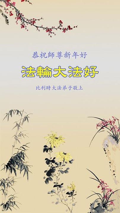 Praktikanti iz Belgije su rekli da će se još bolje kultivirati u narednoj novoj godini.