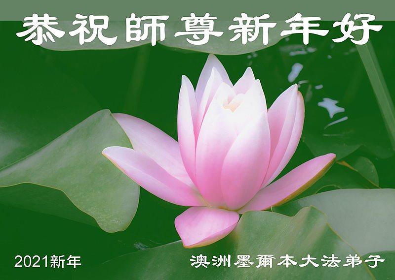 Čestitka Učitelju od praktikanata u Melbourneu