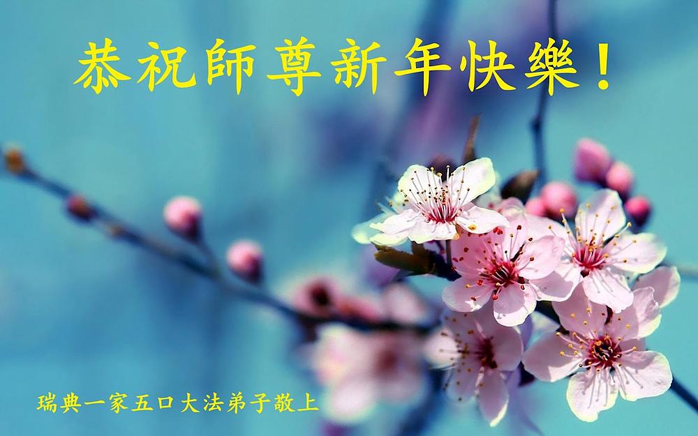 Dafa praktikanti iz Švedske žele Učitelju sretnu Novu godinu.