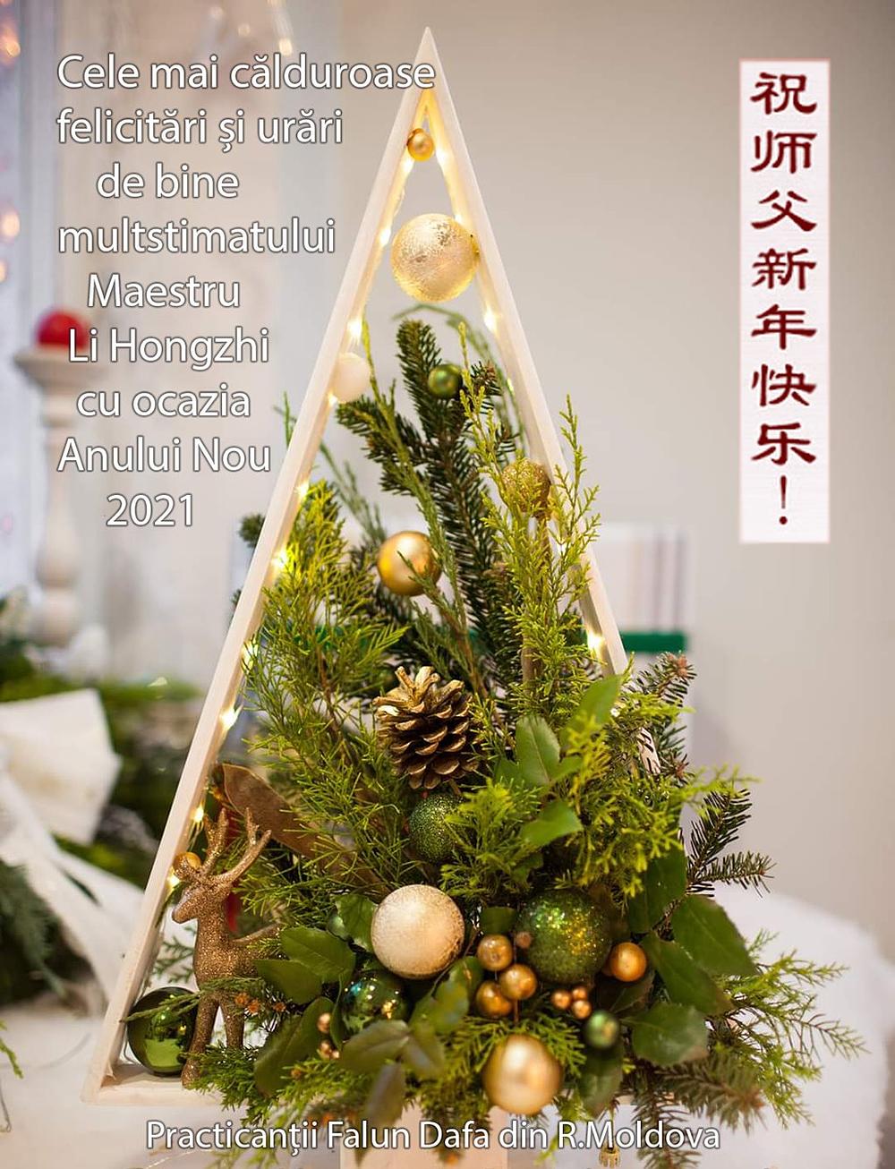 "Učitelju želimo vam sretnu Novu godinu!" napisali su moldavski praktikanti iz Rumunije.