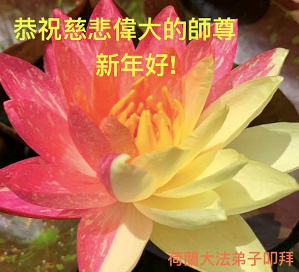 Pozdrav Učitelju od praktikanata iz Holandije