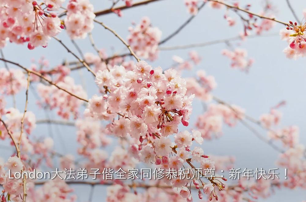 Novogodišnja čestitka Učitelju od praktikanta i njegove obitelji u Londonu, Velika Britanija
