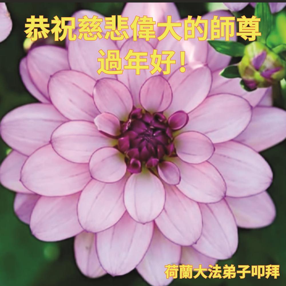 Novogodišnja čestitka Učitelju od praktikanata iz Nizozemske