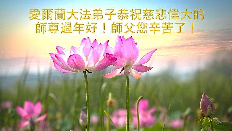 Novogodišnja čestitka Učitelju od praktikanata iz Irske