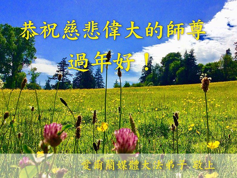 Praktikanti koji rade u New Media of Ireland su poslali svoje pozdrave.