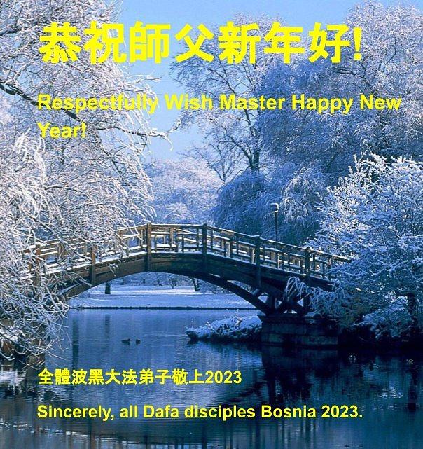 Novogodišnje čestitke Učitelju od praktikanata iz Bosne.