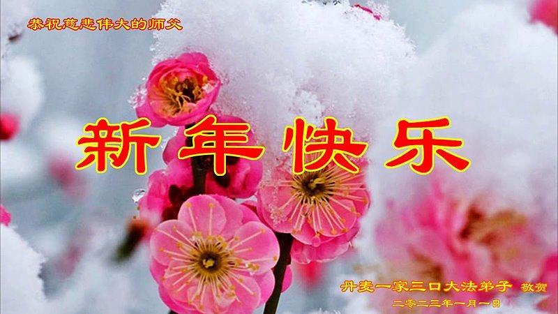 Novogodišnja čestitka iz Danske