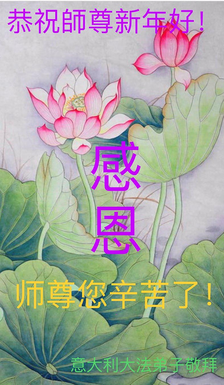 “Hvala vam, učitelju Li na vašem suosjećanju i brizi. Iskoristit ćemo preostalo vrijeme na najbolji način da se kultiviramo i pomognemo spasiti ljude”, napisali su praktikanti u Italiji.