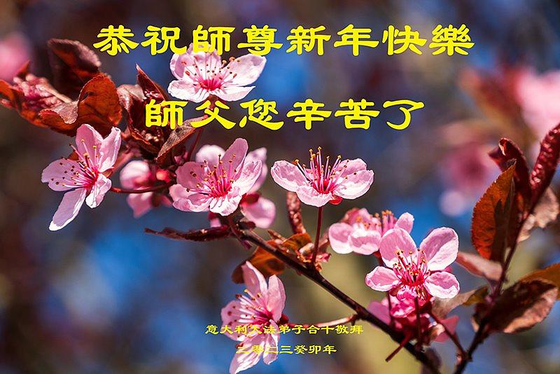 Talijanski praktikanti su zahvalnu za Učiteljevu dobrodušnost i požrtvovnost cijelim putem njihove kultivacije. 