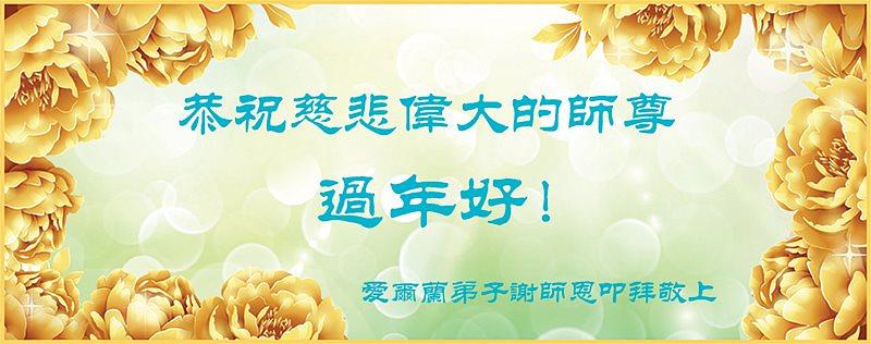 Pozdrav Učitelju od praktikanata iz Irske