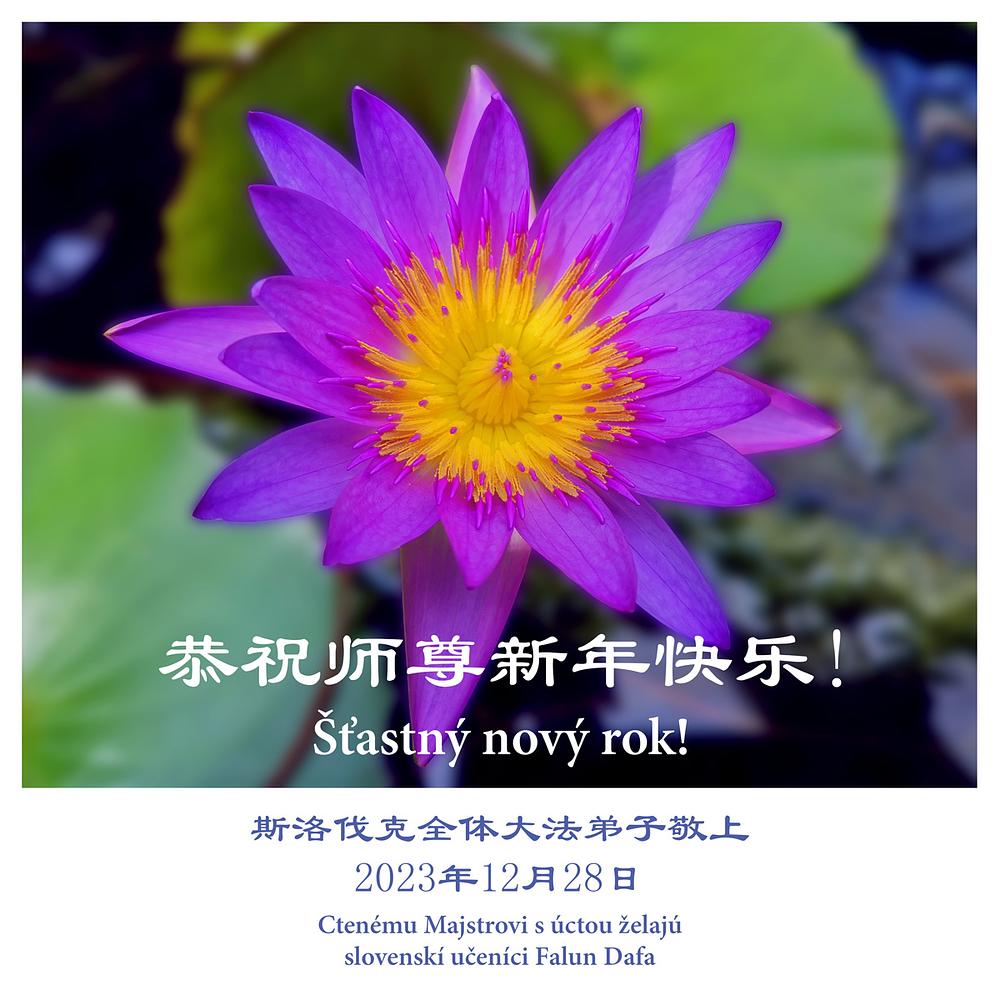 Praktikanti u Slovačkoj su zahvaljuju učitelju Liju na njegovom dobrodušnom spasenju.