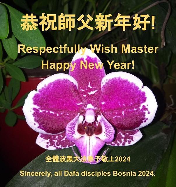 Praktikanti u Bosni i Hercegovini žele Učitelju Liju sretnu Novu godinu!